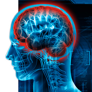 Illustration of human head scan with brain surrounded by threatening red glow