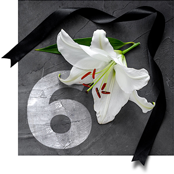 Image of lily and black ribbon on a rough, dark gray surface with a large white number 6 partially obscured by flower