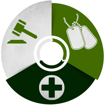 Illustration of circle divided into thirds in military colors, with a gavel, medical symbol and dog tags in the sections