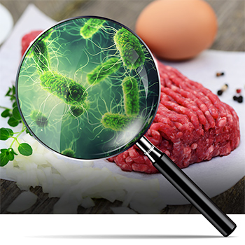 Magnifying glass held over raw meat and eggs, revealing salmonella bacteria